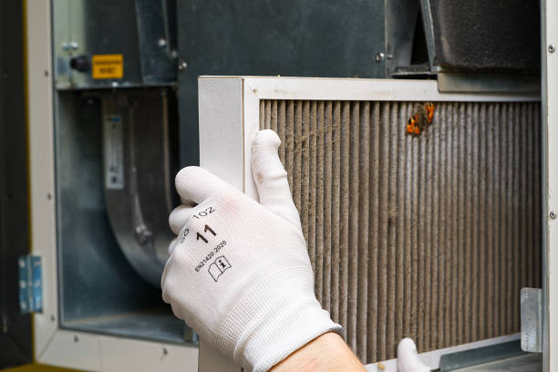 Best Emergency Air Duct Cleaning  in Millis Clicquot, MA