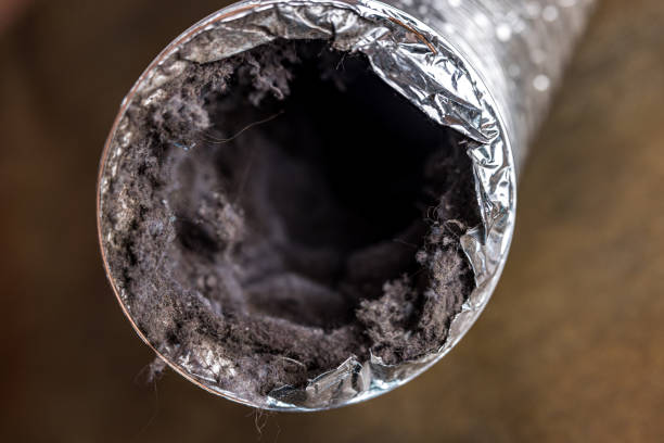 Best Air Duct Cleaning Near Me  in Millis Clicquot, MA